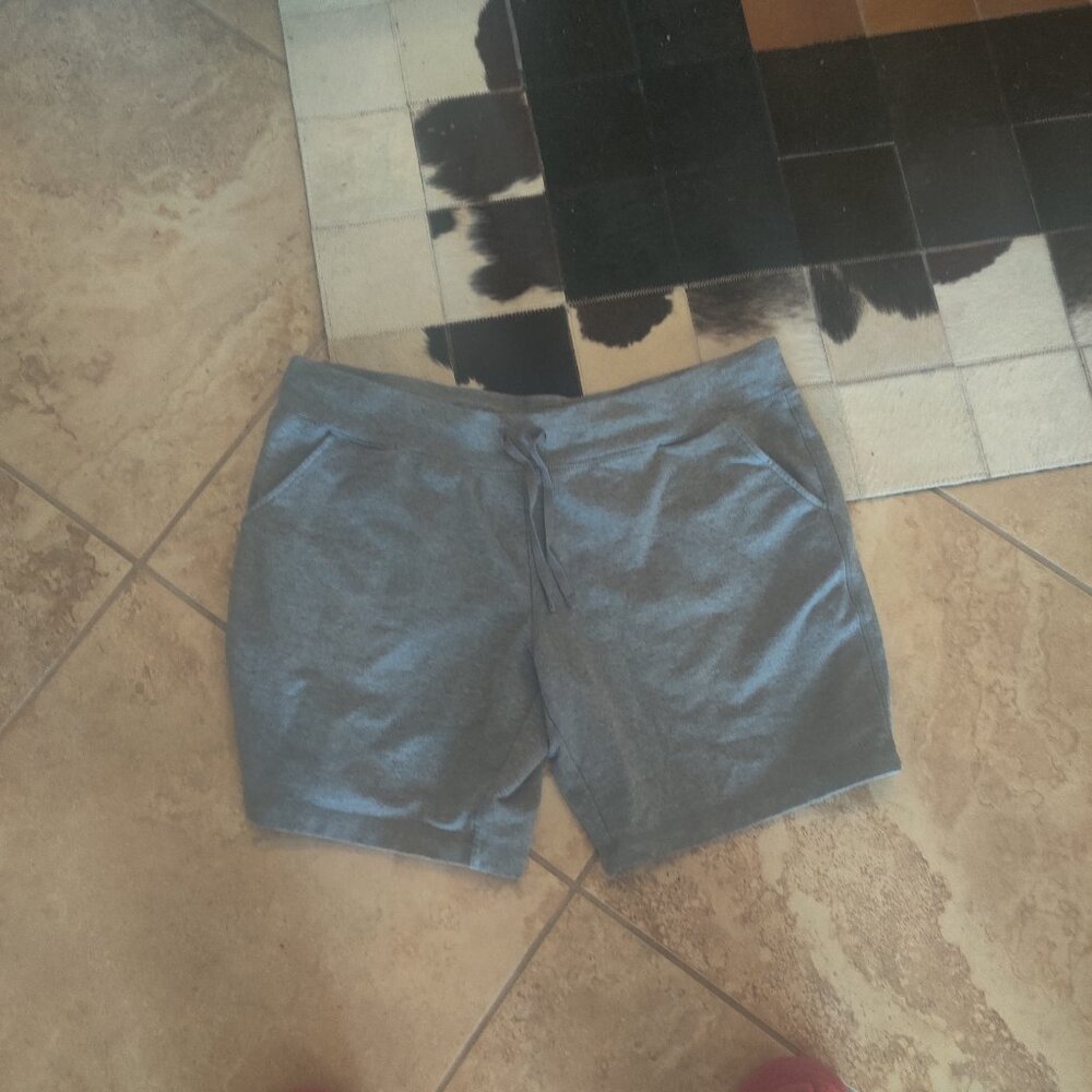 Danskin shorts size 2xl